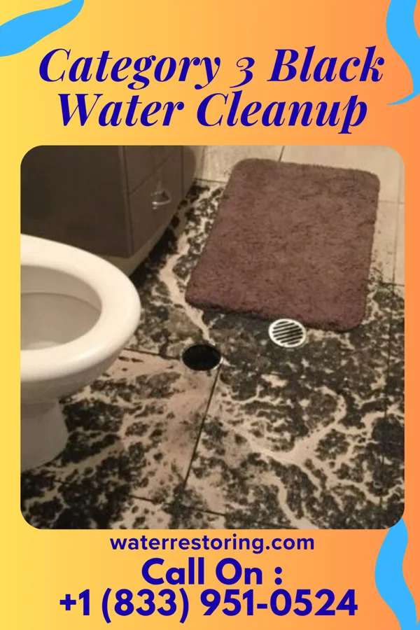 Category 3 Black Water Cleanup in Dunes City, OR