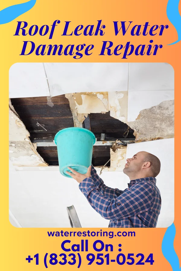 Roof Leak Water Damage Repair in Dunes City, OR